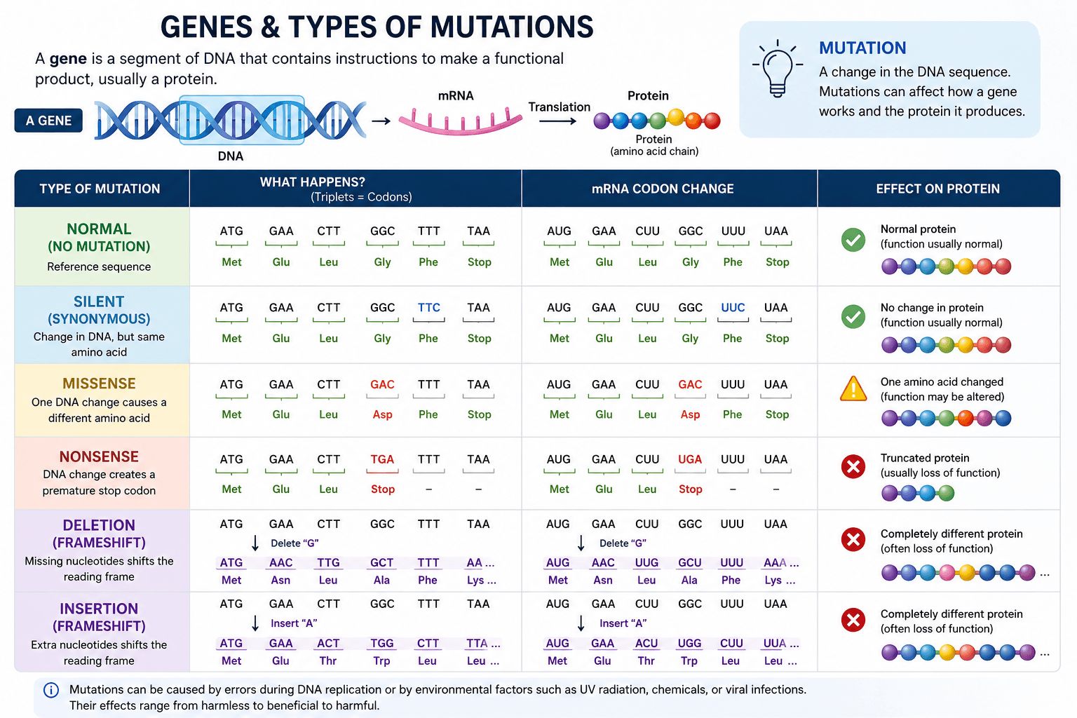 Diagrama de los tipos de mutaciones del gen CASK: deleción, duplicación, mutación sin sentido, mutación de cambio de marco y mutación en el sitio de empalme