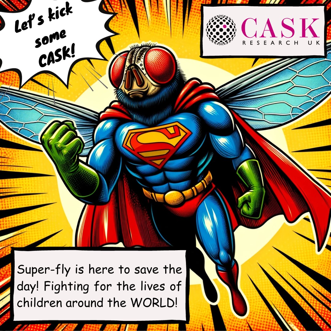 A cartoon image of a superman with a fly head